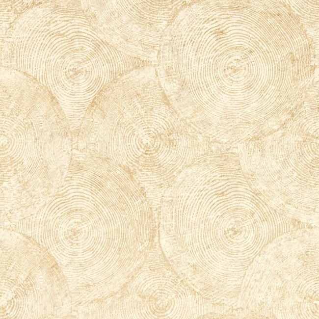 W0209/05 Silvan Sahara Expressions Wallpaper by Clarke & Clarke