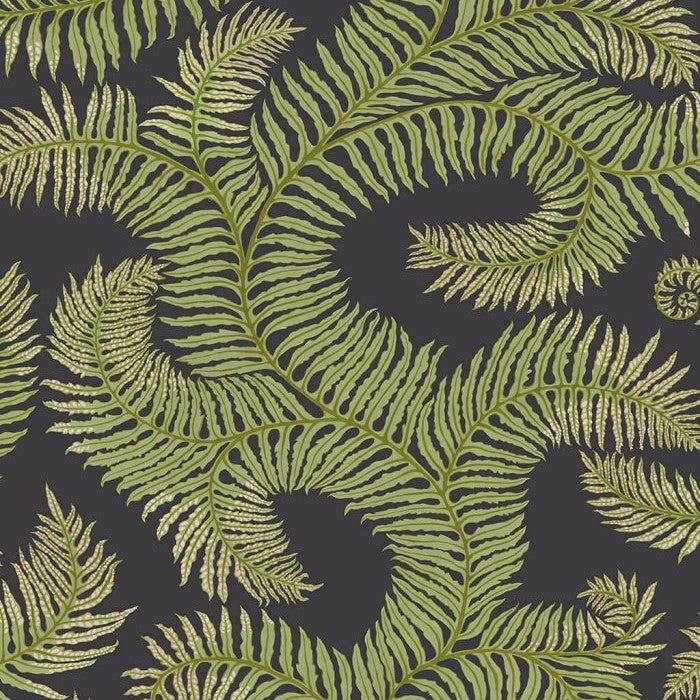 JMW-100101 Bombes Fernery Wallpaper by Josephine Munsey