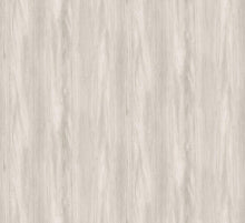 TRA301 Sugi Beech Wallpaper by Masureel