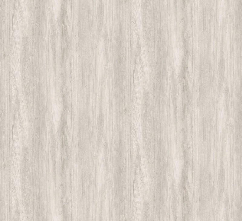 TRA301 Sugi Beech Wallpaper by Masureel