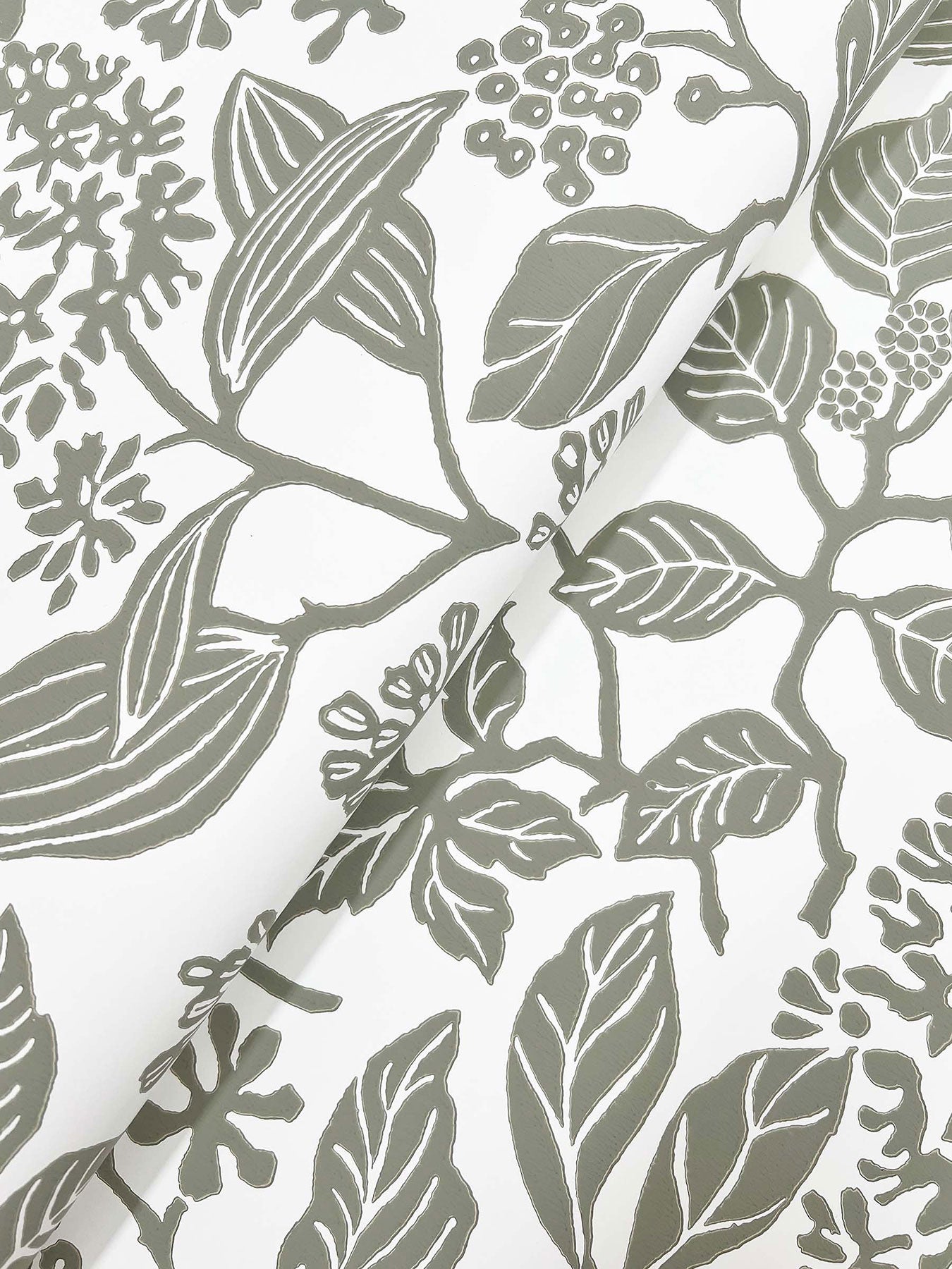 Rowen Botanical Olive Jardin Wallpaper by York Wallcoverings