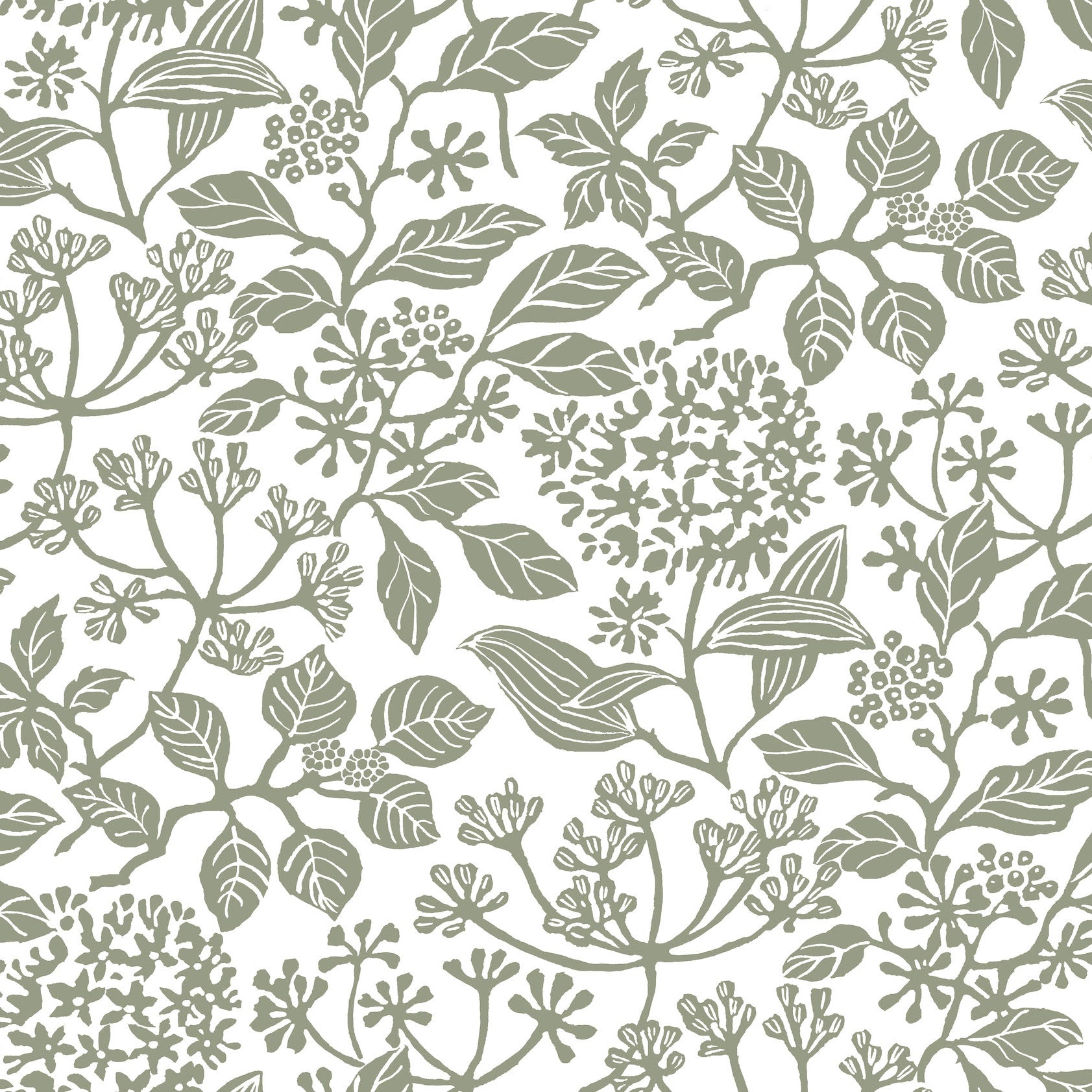 Rowen Botanical Olive Jardin Wallpaper by York Wallcoverings