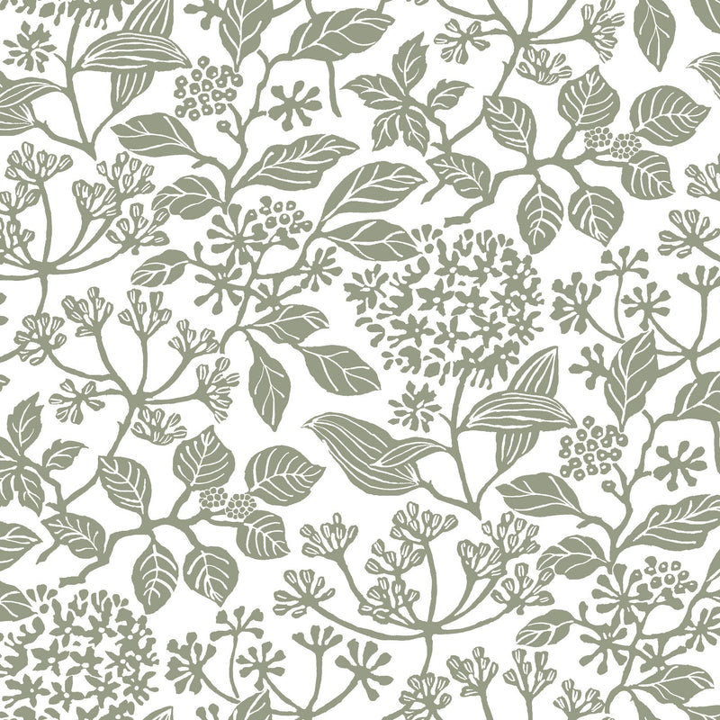 Rowen Botanical Olive Jardin Wallpaper by York Wallcoverings