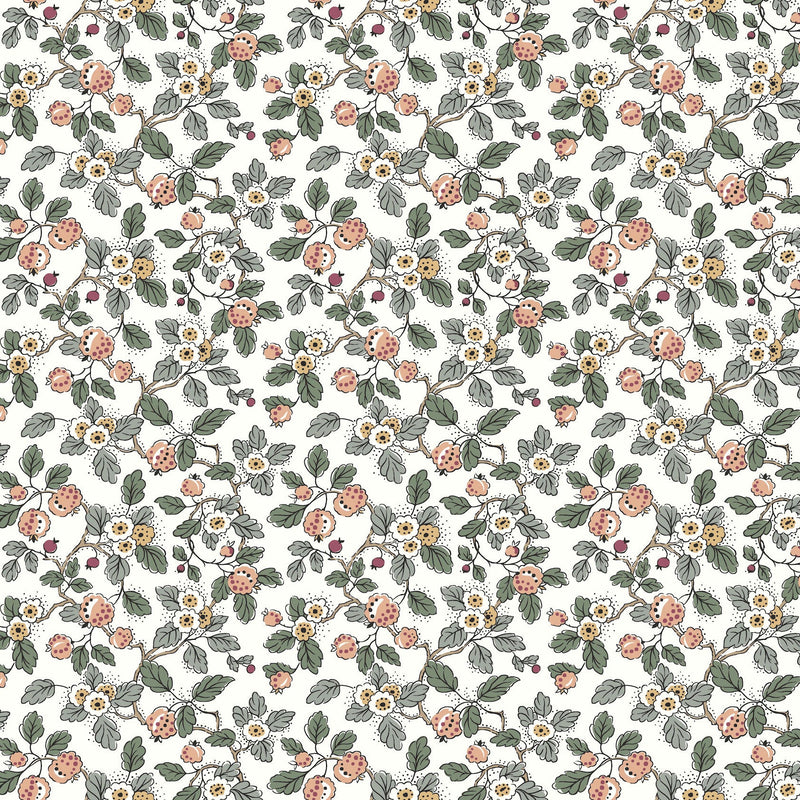 Framboise Berry Vines Blush Jardin Wallpaper by York Wallcoverings