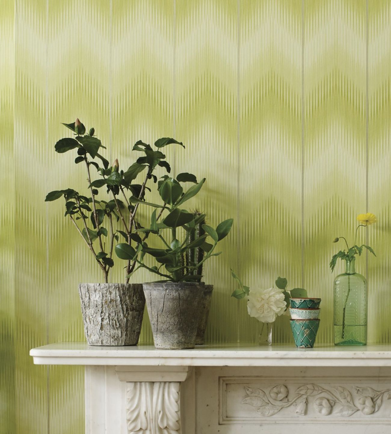 Danzon Wallpaper by Matthew Williamson