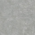 Intonaco Lucido Silver Grey Ultimate Textures Wallpaper by Zambaiti Parati