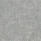 Intonaco Lucido Silver Grey Ultimate Textures Wallpaper by Zambaiti Parati