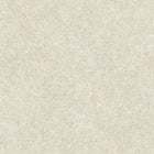 Impazzito Seashell Ultimate Textures Wallpaper by Zambaiti Parati