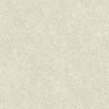 Impazzito Seashell Ultimate Textures Wallpaper by Zambaiti Parati