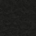Plain Black Philipp Plein 2 Wallpaper by Zambaiti Parati