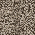 Leopard Print Pale Philipp Plein 2 Wallpaper by Zambaiti Parati