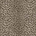 Leopard Print Pale Philipp Plein 2 Wallpaper by Zambaiti Parati