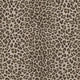 Leopard Print Pale Philipp Plein 2 Wallpaper by Zambaiti Parati