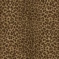 Leopard Print Bold Philipp Plein 2 Wallpaper by Zambaiti Parati