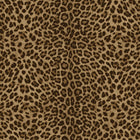 Leopard Print Bold Philipp Plein 2 Wallpaper by Zambaiti Parati