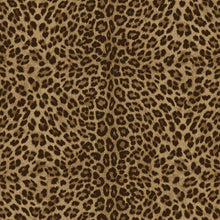 Leopard Print Bold Philipp Plein 2 Wallpaper by Zambaiti Parati