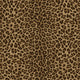 Leopard Print Bold Philipp Plein 2 Wallpaper by Zambaiti Parati