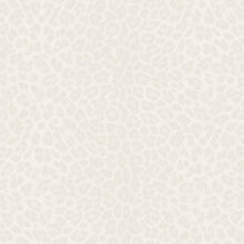 Leopard Print White Philipp Plein 2 Wallpaper by Zambaiti Parati