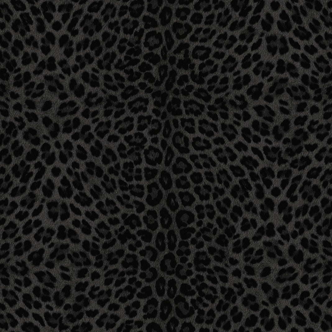 Leopard Print Black Philipp Plein 2 Wallpaper by Zambaiti Parati