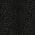 Leopard Print Black Philipp Plein 2 Wallpaper by Zambaiti Parati