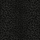 Leopard Print Black Philipp Plein 2 Wallpaper by Zambaiti Parati