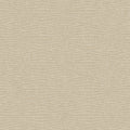 Daystone Beige Tea Garden Wallpaper by York Wallcoverings