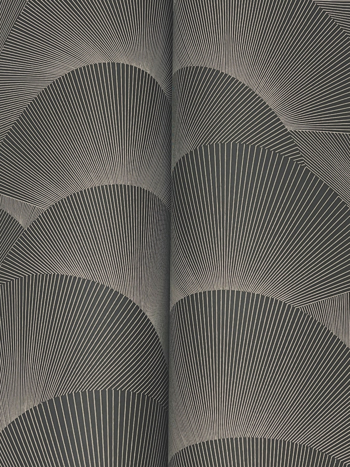 Morning Shell Black & Grey Tea Garden Wallpaper by York Wallcoverings