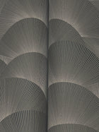 Morning Shell Black & Grey Tea Garden Wallpaper by York Wallcoverings