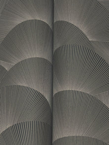 Morning Shell Black & Grey Tea Garden Wallpaper by York Wallcoverings