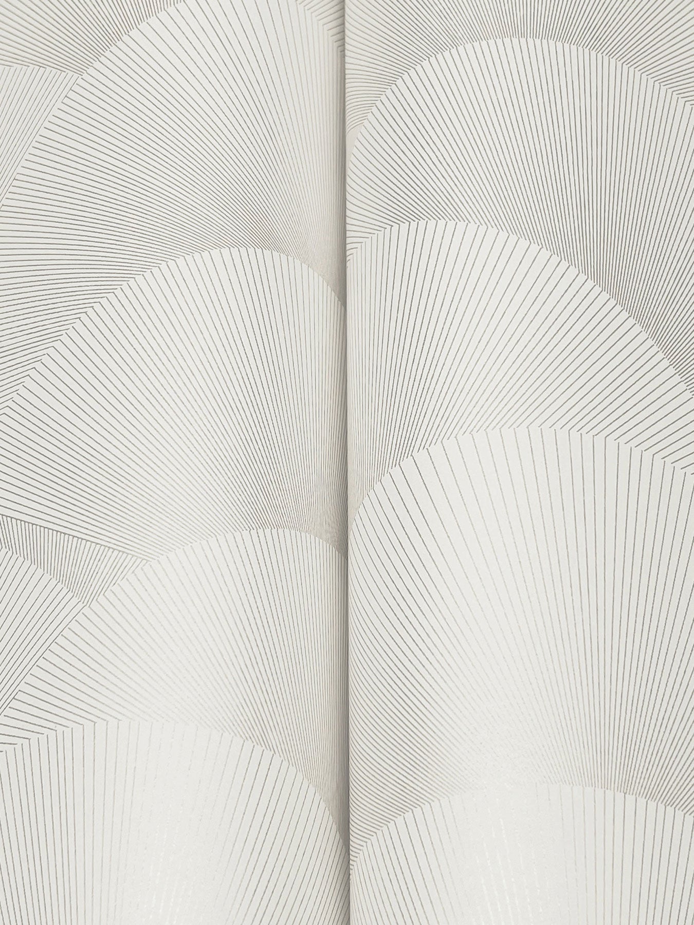 Morning Shell White & Silver Tea Garden Wallpaper by York Wallcoverings
