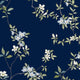 April Blossom Navy Tea Garden Wallpaper by York Wallcoverings